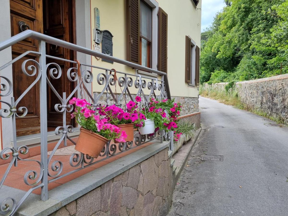 A Collodi Io & Mamma100 M Dal Parco Di Pinocchio B&B 외부 사진
