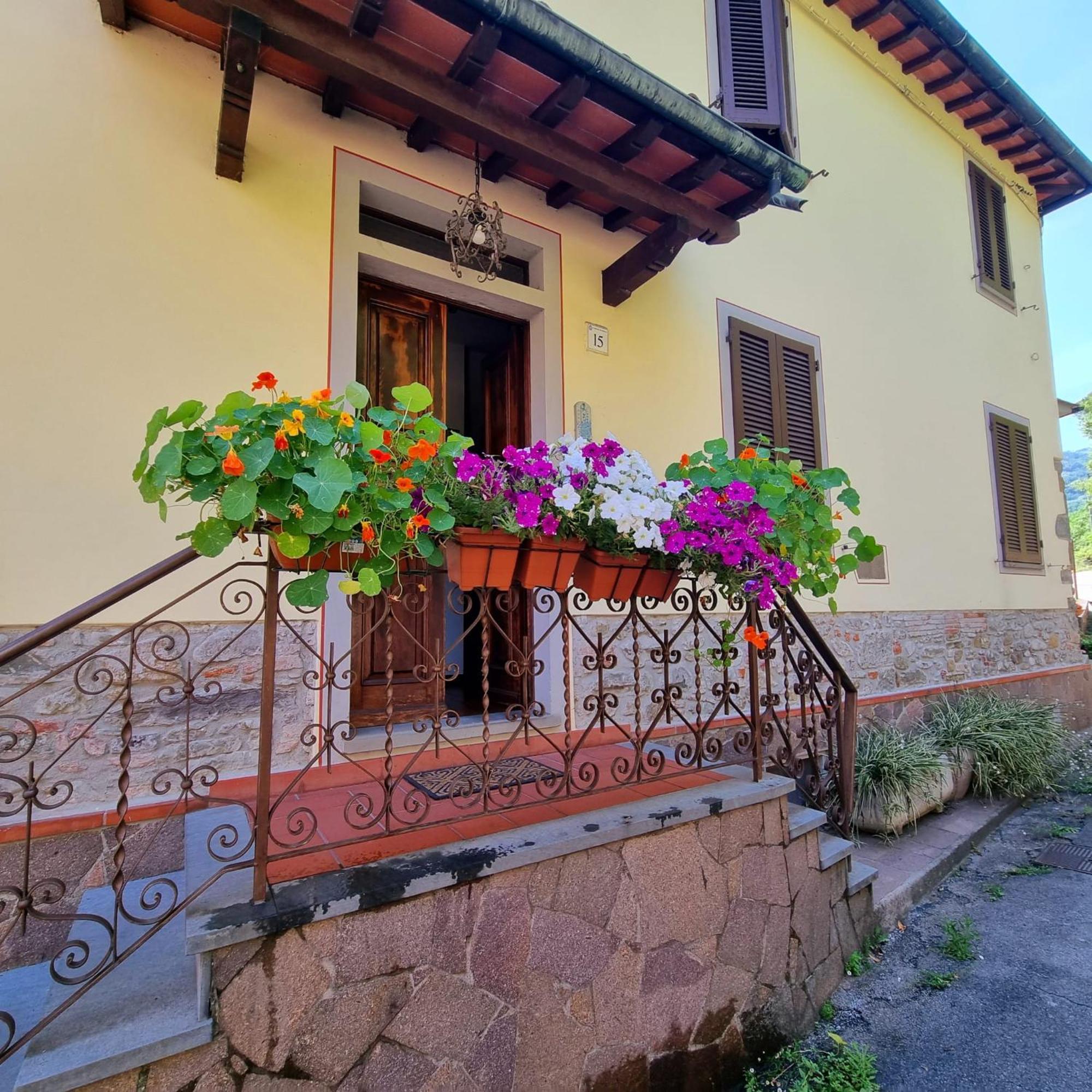 A Collodi Io & Mamma100 M Dal Parco Di Pinocchio B&B 외부 사진
