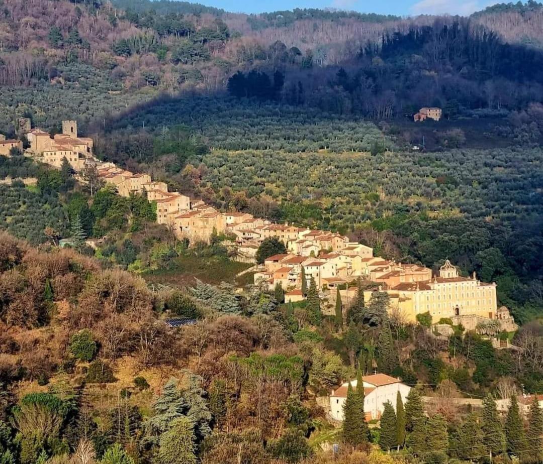 A Collodi Io & Mamma100 M Dal Parco Di Pinocchio B&B 외부 사진